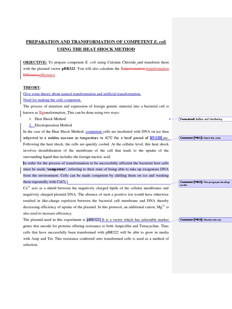 Competent E. coli Preparation & Transformation | PDF | Transformation ...
