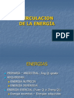 Circulación de La Energía