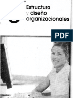 Estructura Y Diseño Organizacionales 