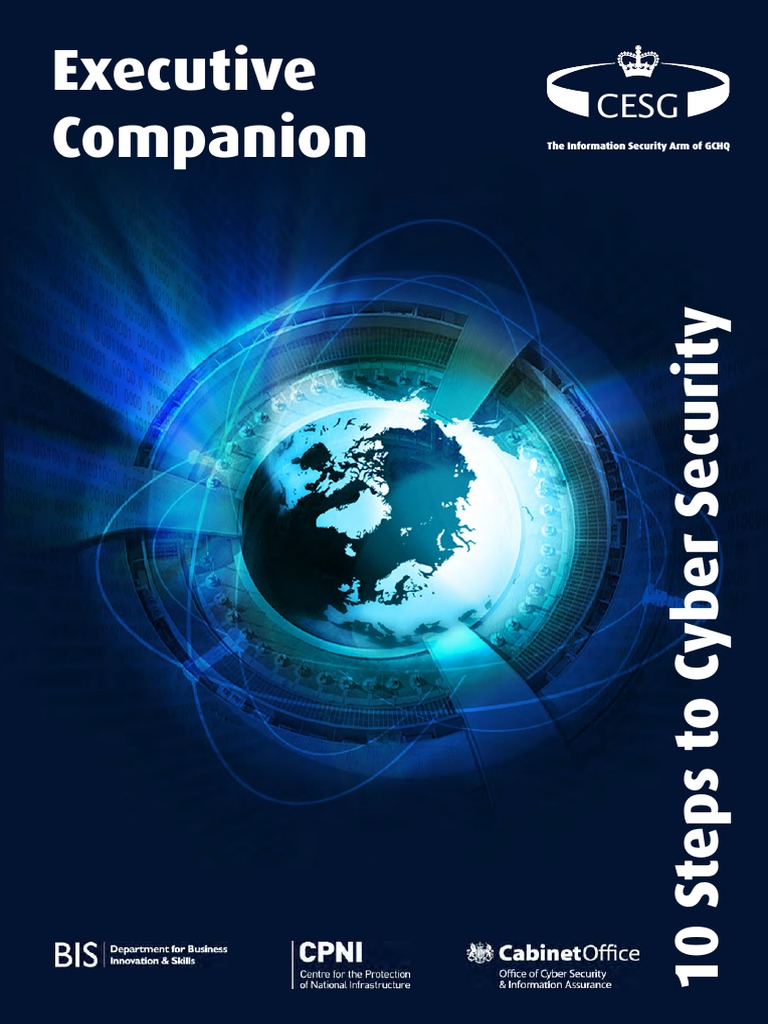 12 1120 10 Steps To Cyber Security Executive | PDF