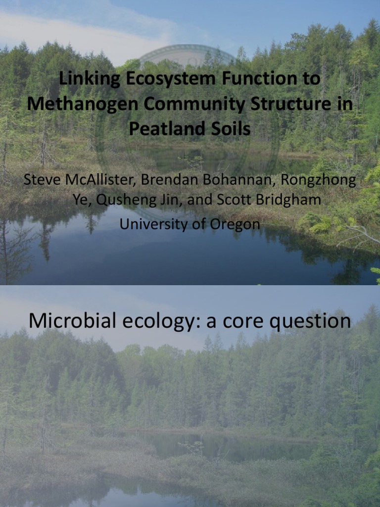 Linking Ecosystem | PDF | Cellular Respiration | Ecosystem