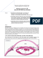 23-SENSESpractical-EN1