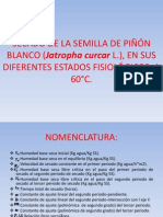 SECADO DE LA SEMILLA DE PIÑÓN BLANCO (Jatropha curcar L.), EN SUS DIFERENTES ESTADOS FISIOLÓGICOS, A 60°C.