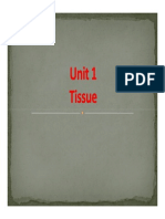 Unit 1- Tissue