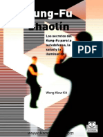 Kung Fu Shaolin