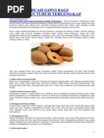 Download Manfaat Buah Sawo Bagi Kesehatan Tubuh Terlengkap by Zapeta Ron SN251025519 doc pdf