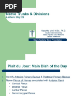 Download Neuro Anatomy Nerve Trunks by Dr Kazuhito Mori SN25102757 doc pdf