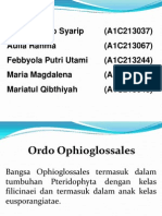 ORDO Ophioglossales ...