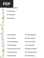 04.Protozoários1