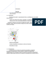 Pasos Para Elavorar Un Diagnostico de Una Ciudad