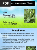 Download gulma genjer by Elvina Sari SN251052133 doc pdf