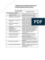 Capacidades Teminales de Las Unidades Didacticas de Computacion e Infomatica Del Iest Palpa