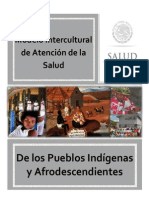 Modelo intercultural de atención a la salud indígena y afro