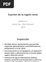 Examen de La Región Renal