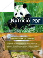 Nutricion