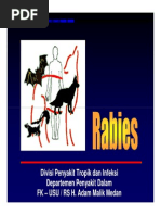 Download Rabies by shanaz SN251118560 doc pdf