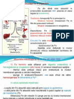 Fierul.pdf