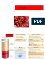 Fisiopatologia de La Sangre PDF