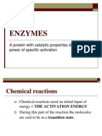Enzymes 11