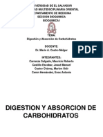 Digestion y Absorcion de Carbohidratos Bioquímica
