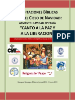 Meditaciones Biblicas Ciclo de Navidad Ane 14-15