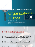 Ob Organizational Justice