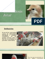 Colibacilosis aviar causa principal enfermedad aves