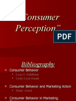 Consumer Perception