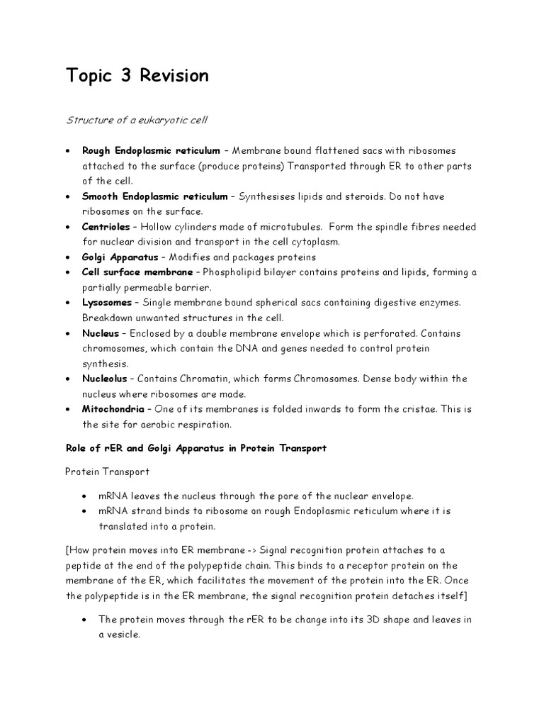 Topic 3 Revision: Structure of A Eukaryotic Cell | PDF | Endoplasmic ...