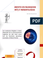Entrenamiento de Estrategias de Metas y Mindfulness PDF