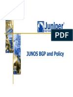 06-Junos Bgp and Policy