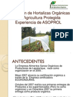 Produccion de Hortalizas Organicas Con Agricultura Protegida