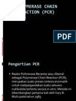 Polymerase Chain Reaction (PCR)