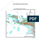 Peta Jaringan Jalan Pulau Papua