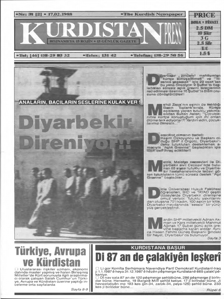 tumblr şişman türk kadınları