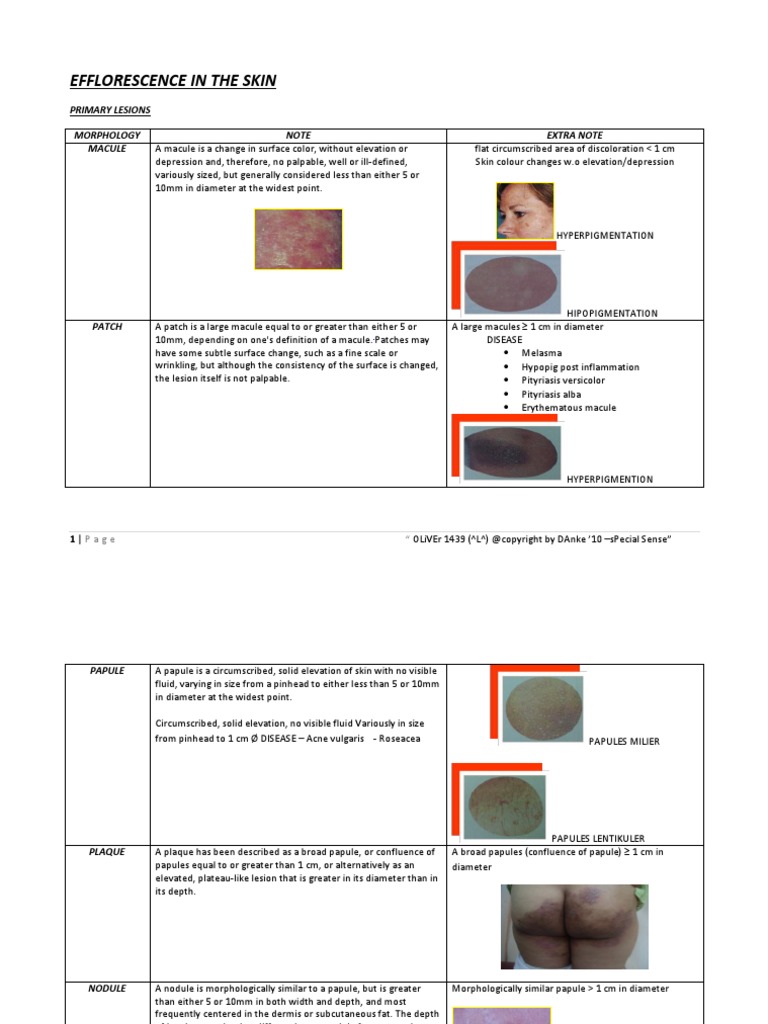 Skin Efflorescence: Lesion Types Explained | PDF | Cutaneous Conditions ...