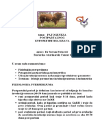 Patogeneza Postpartalnog Endometritisa Krava - Dr Stevan Perkovic