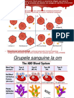 Prezentare Crossmatch - Grupe de Sange