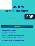 Capitulo I PMBOK