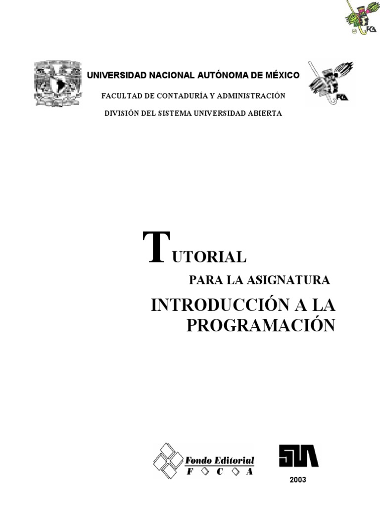 Intro Programacion | PDF