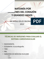 1.- Corazón y Grandes Vasos - Dr. Mario Delzo Palomares