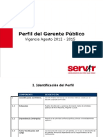 Perfil Generico Gerente Publico