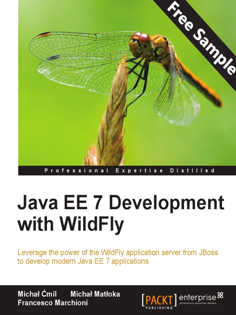 Java EE 7 Development With WildFly Sample Chapter | PDF | Enterprise ...