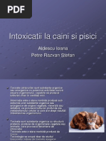 Androgeni 6  PDF