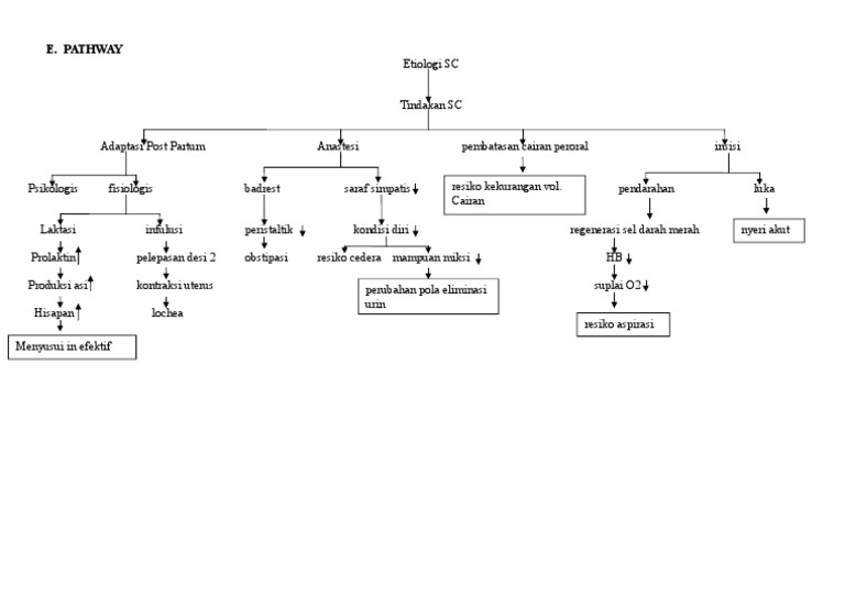 Pathway Pasca Sectio Caesearea | PDF