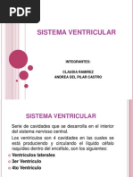 Exposicin Sistema Ventricular