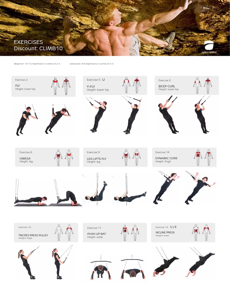 TRX Beginner Workout Guide PDF | PDF