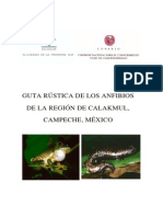 Guia de Anfibios Calakmul Campeche Mexico