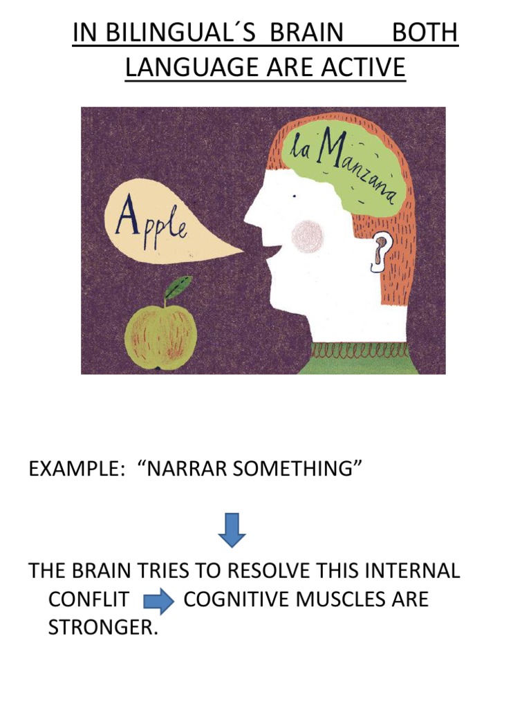 In Bilingual S Brain Both Language Are Active | PDF | Foreign Language ...
