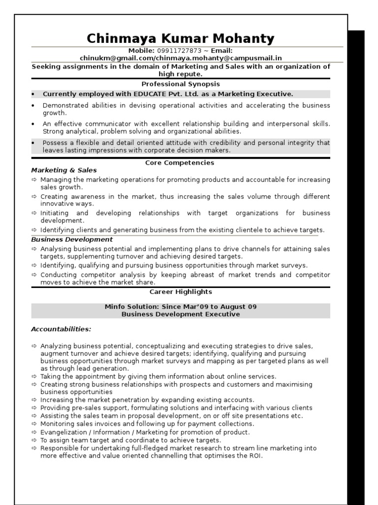 Marketing and Sales Professional Resume | PDF | Business Development ...